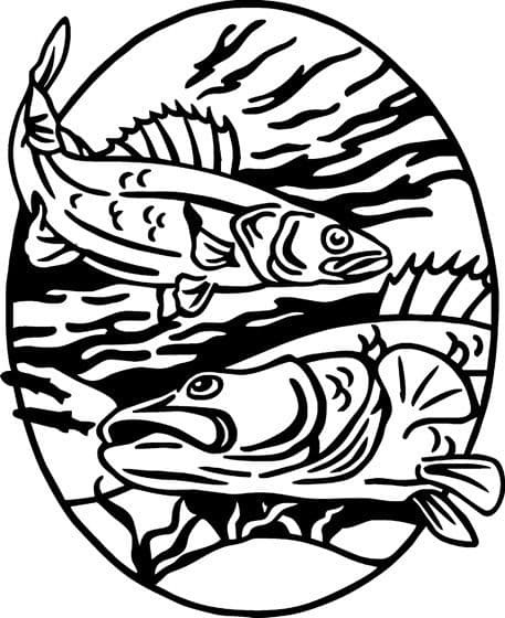 Fishes