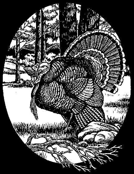 Turkey